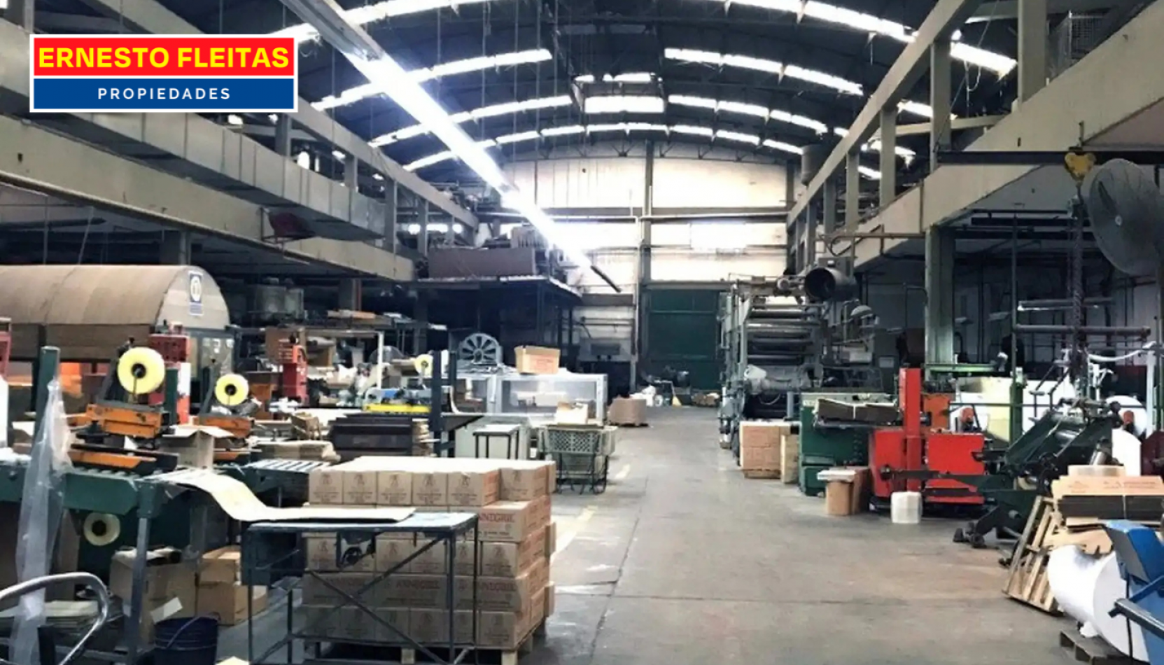 galpon 1900 m2